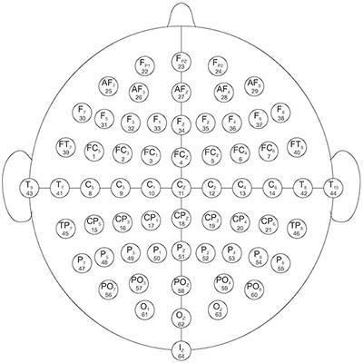 Deep Residual Convolutional Neural Networks for Brain–Computer Interface to Visualize Neural Processing of Hand Movements in the Human Brain